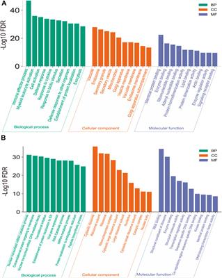 Comprehensive analysis and validation of novel immune and vascular remodeling related genes signature associated with drug interactions in pulmonary arterial hypertension